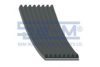 SEM LASTIK 10354 V-Ribbed Belts